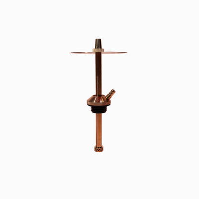 Baby Bronze